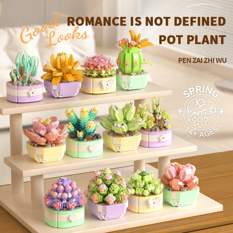 Flower Succulents Building Blo - Model Kit Chemistry recension och pris